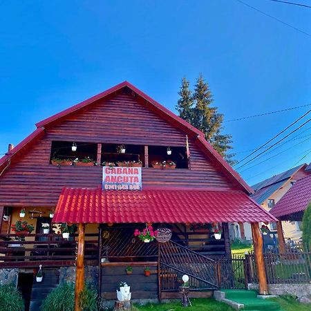 Hotel Cabana Ancuta Vartop Zewnętrze zdjęcie