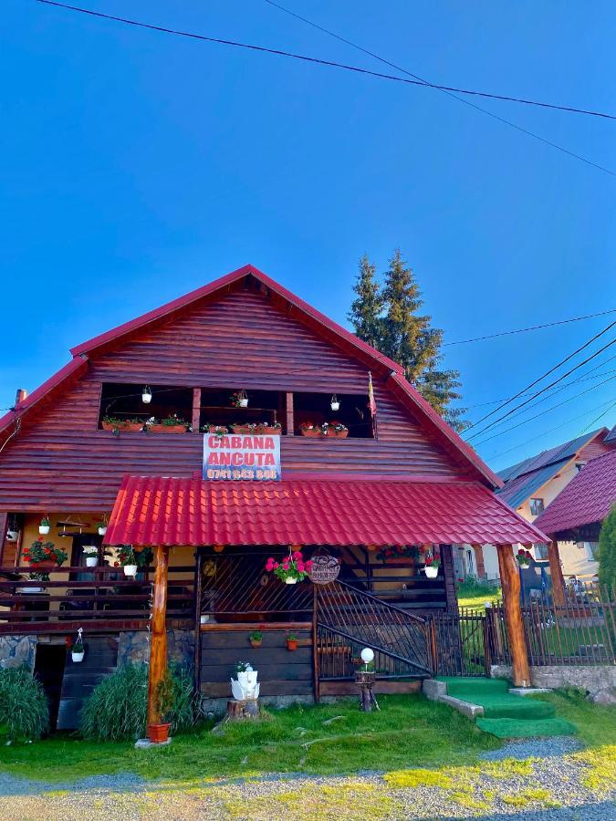 Hotel Cabana Ancuta Vartop Zewnętrze zdjęcie