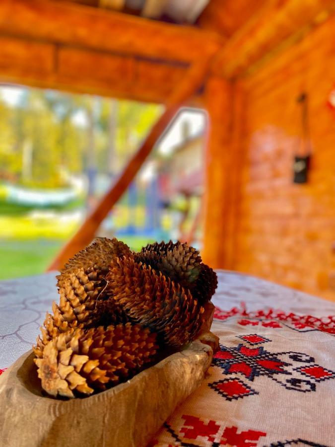 Hotel Cabana Ancuta Vartop Zewnętrze zdjęcie