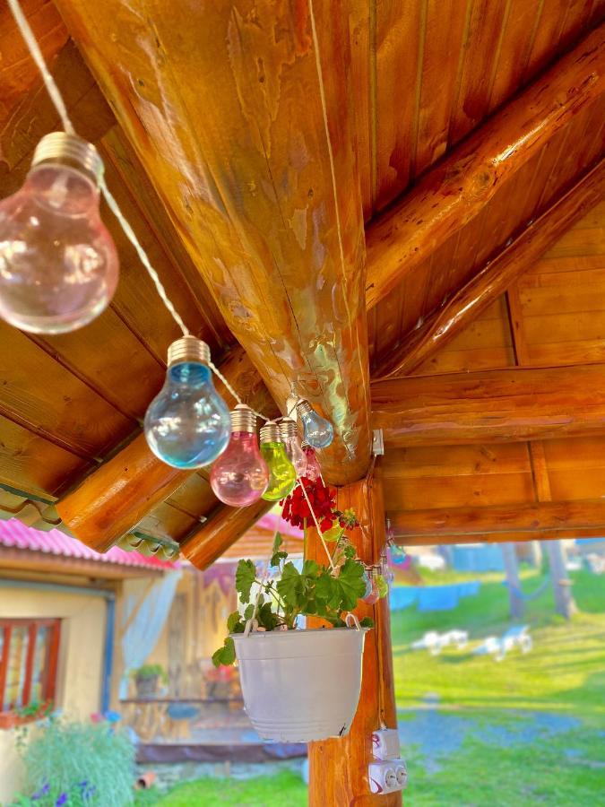 Hotel Cabana Ancuta Vartop Zewnętrze zdjęcie